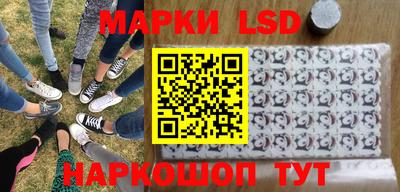 индика Можга