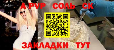 индика Можга