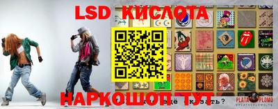 ПСИЛОЦИБИНОВЫЕ ГРИБЫ Можайск