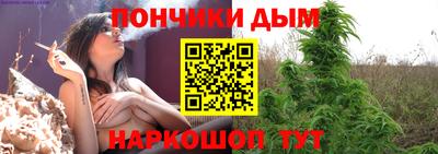 индика Можга