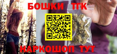 индика Можга