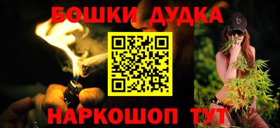 индика Можга