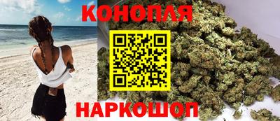 индика Можга