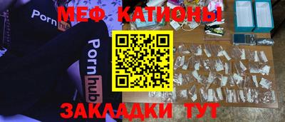 индика Можга