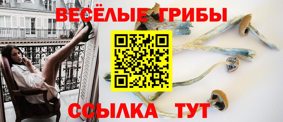 Псилоцибиновые грибы мицелий  Галлюциногенные грибы Magic Shrooms  Вход с VPN  Великий Новгород 